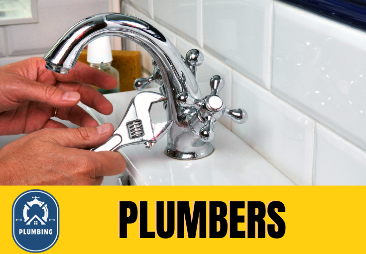  plumber Minsthorpe